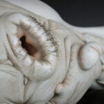 Jason Briggs "April" (detail). Porcelain, hair, and mixed media. Sculptural ceramic art object.