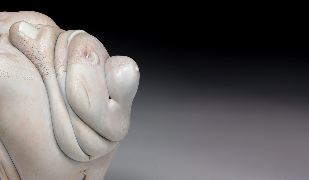 Jason Briggs "Blossom". Porcelain and mixed media sculptural ceramic art.