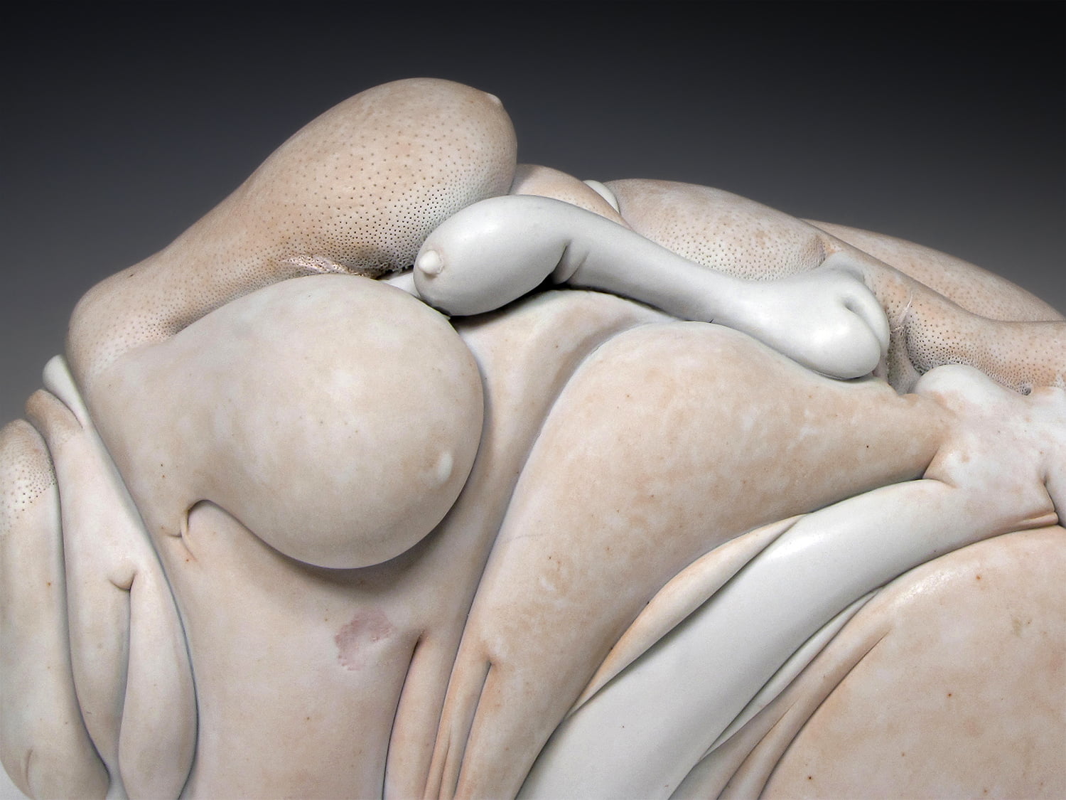 Jason Briggs "Blossom" (detail 2). Porcelain and mixed media sculptural ceramic art.