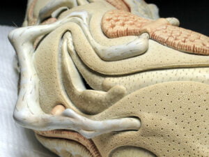 Jason Briggs "Creme" (detail 1). Porcelain, hair, and mixed media. Sculptural ceramic art object.