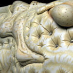 Jason Briggs "Creme" (detail 2). Porcelain, hair, and mixed media. Sculptural ceramic art object.