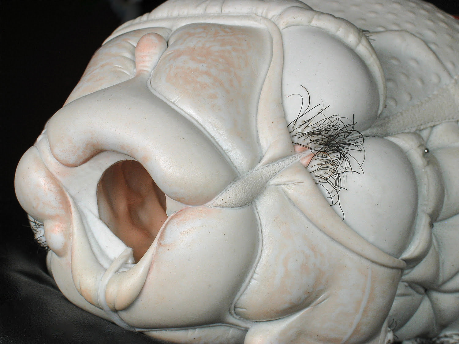 Jason Briggs "Crush" (detail 1). Porcelian, hair, and mixed media. Sculptural ceramic art object.