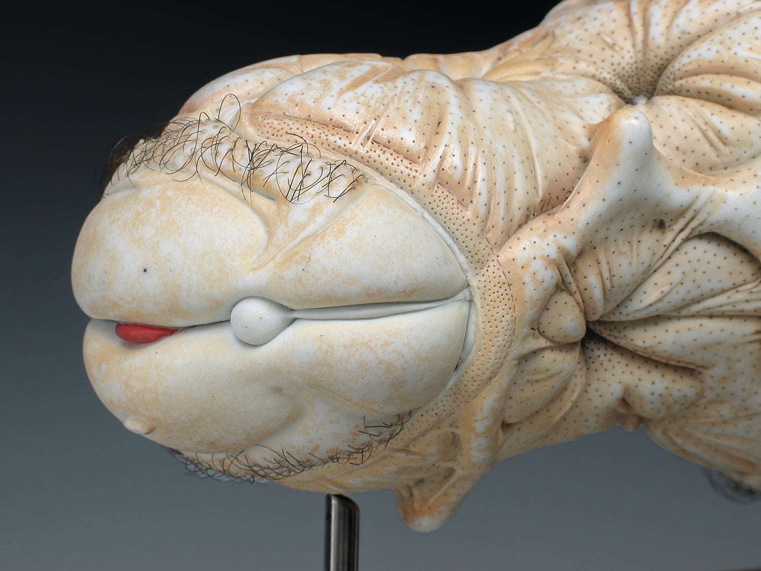 Jason Briggs "Flirt" (detail 3). Porcelian, hair, and mixed media. Sculptural ceramic art object.