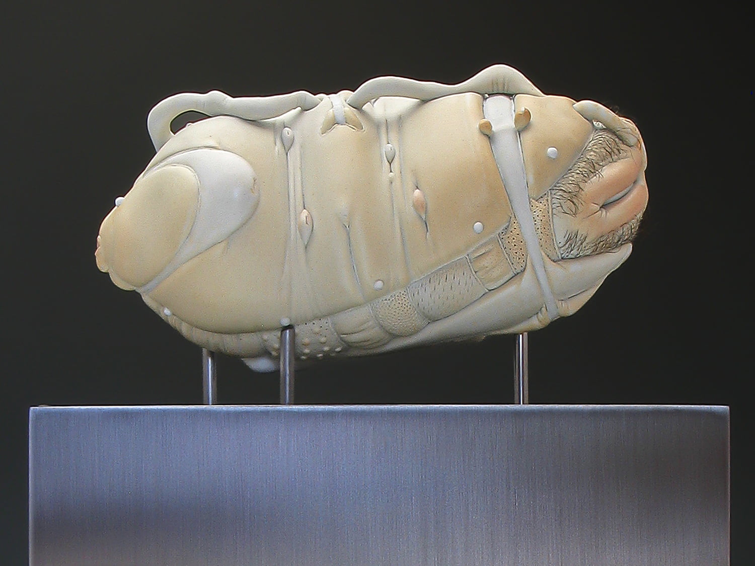 Jason Briggs "Polly" (alternative view). Porcelain, hair, and mixed media. Sculptural ceramic art object.