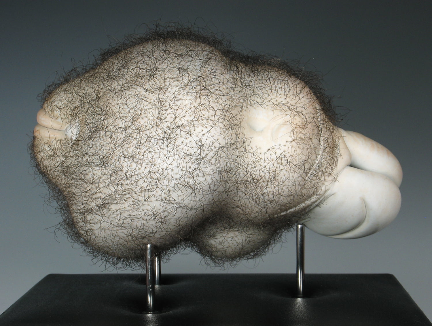 Jason Briggs "Puff" (alternate view). Porcelain and hair sculptural ceramic art.