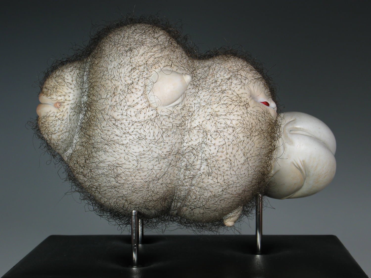 Jason Briggs "Puff". Porcelain and hair sculptural ceramic art.