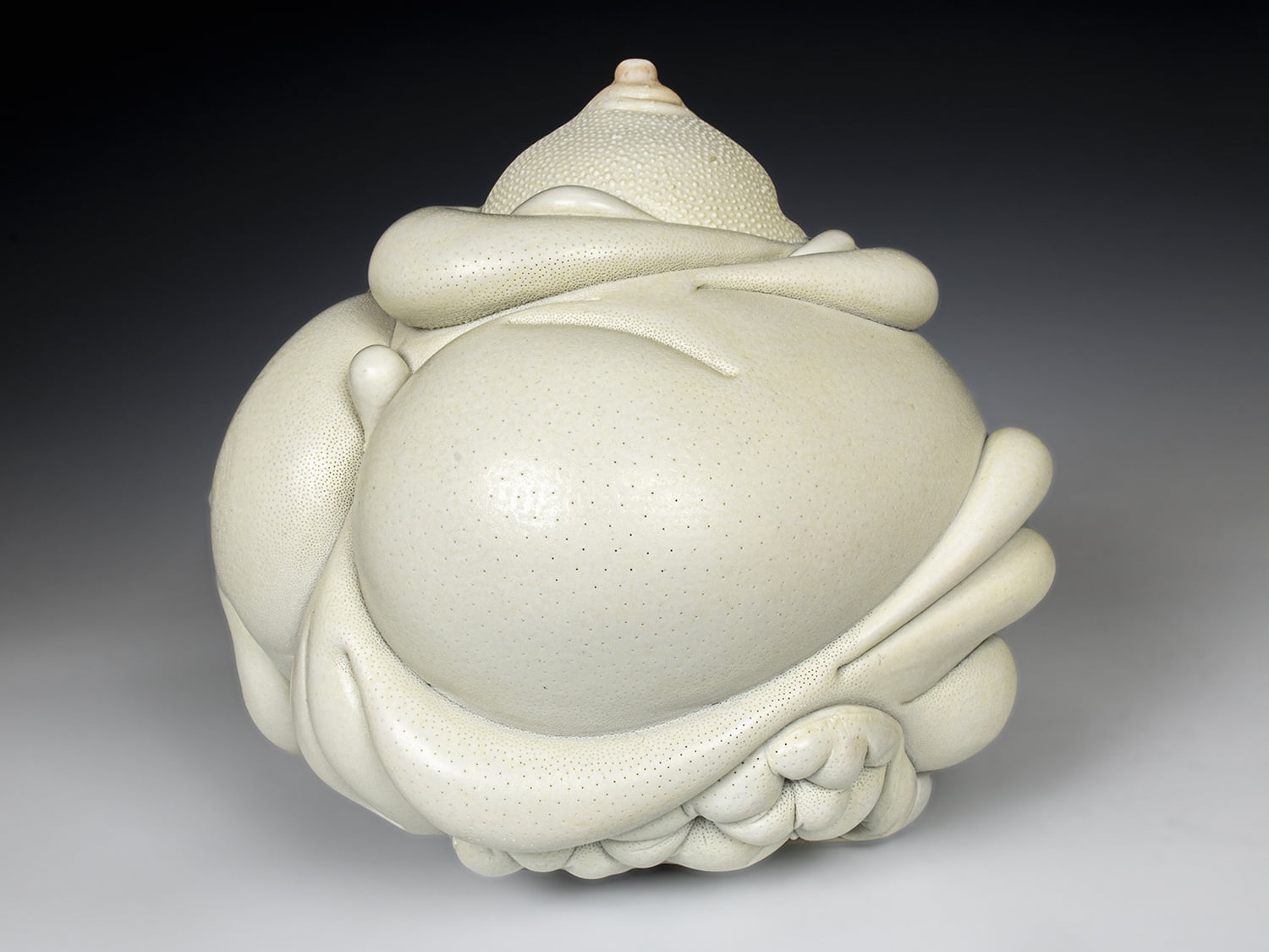 Jason Briggs "Royal" (alternate view 2). porcelain and mixed media sculpture ceramics.