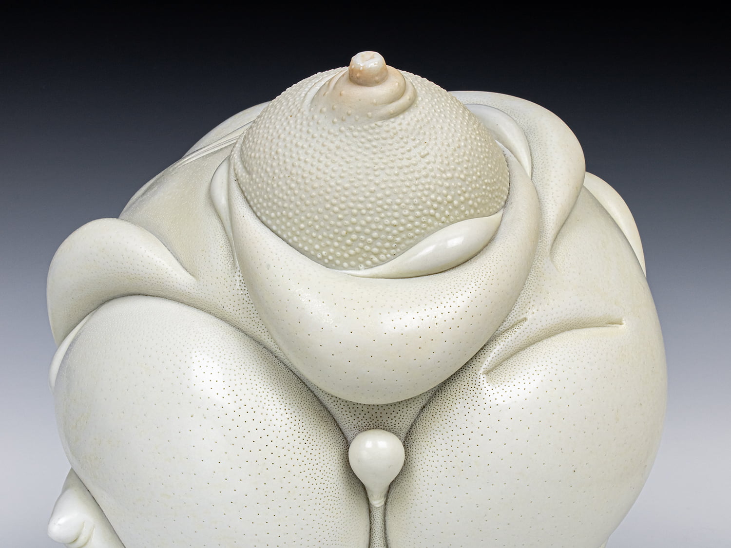Jason Briggs "Royal" (detail 1). porcelain and mixed media sculpture ceramics.