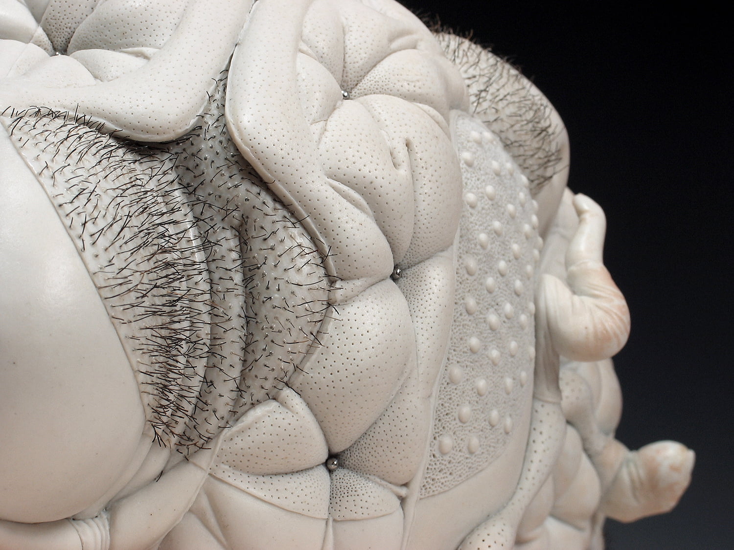 Jason Briggs "Venus" (detail 2). Porcelain, hair, and mixed media sculptural ceramic art.