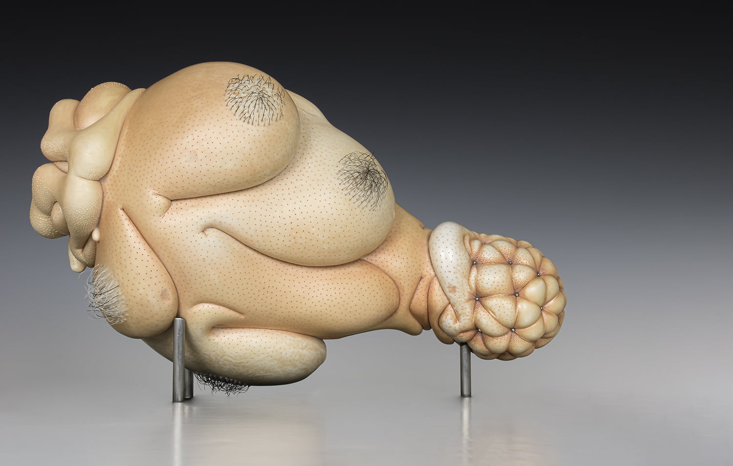 Jason Briggs "Belle" (detail 1). porcelain, hair, and mixed media sculpture ceramics.