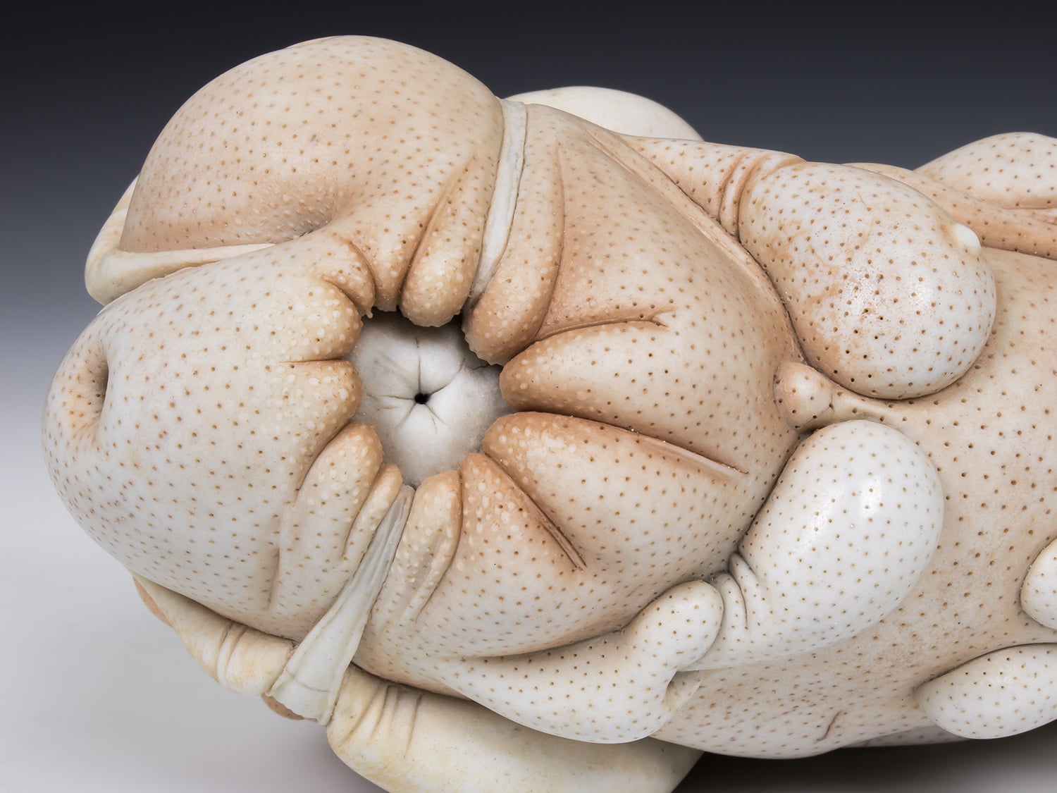 Jason Briggs "Tera" (detail 1). porcelain, hair, and mixed media sculpture ceramics.