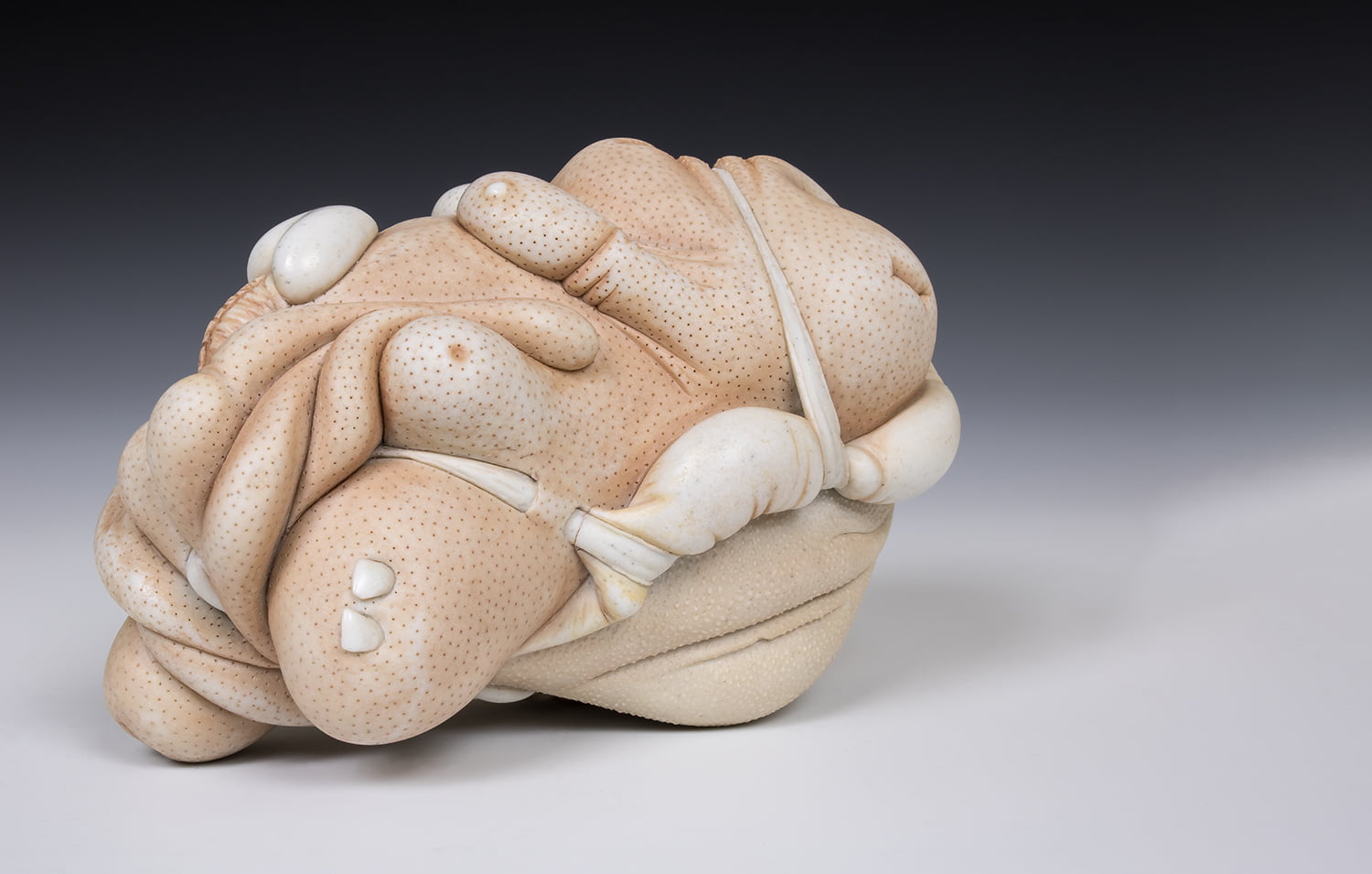Jason Briggs "Tera". porcelain and mixed media sculpture ceramics.
