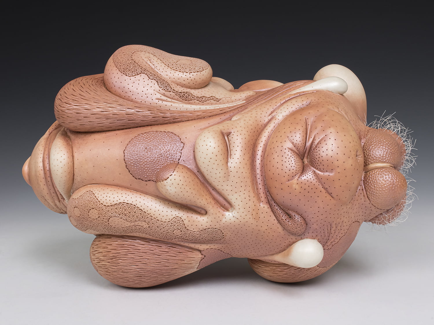 Jason Briggs "Blush" (alternate view). porcelain, hair, and mixed media sculpture ceramics.