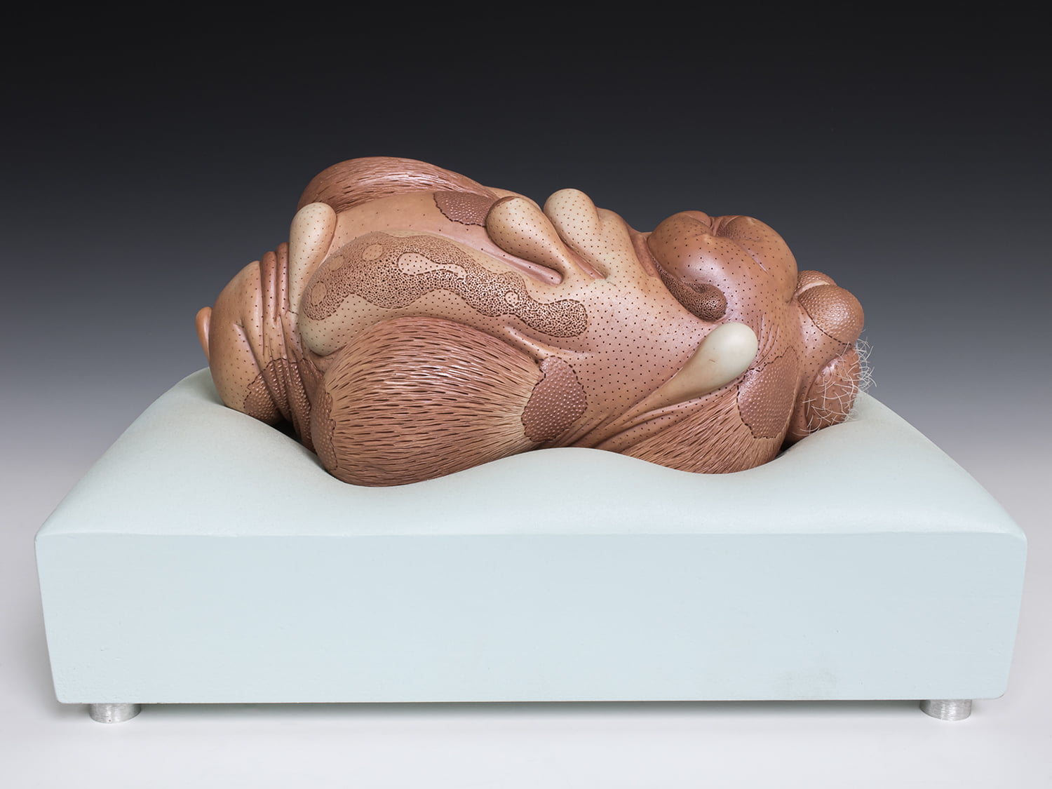 Jason Briggs "Blush" (full view). porcelain, hair, and mixed media sculpture ceramics.