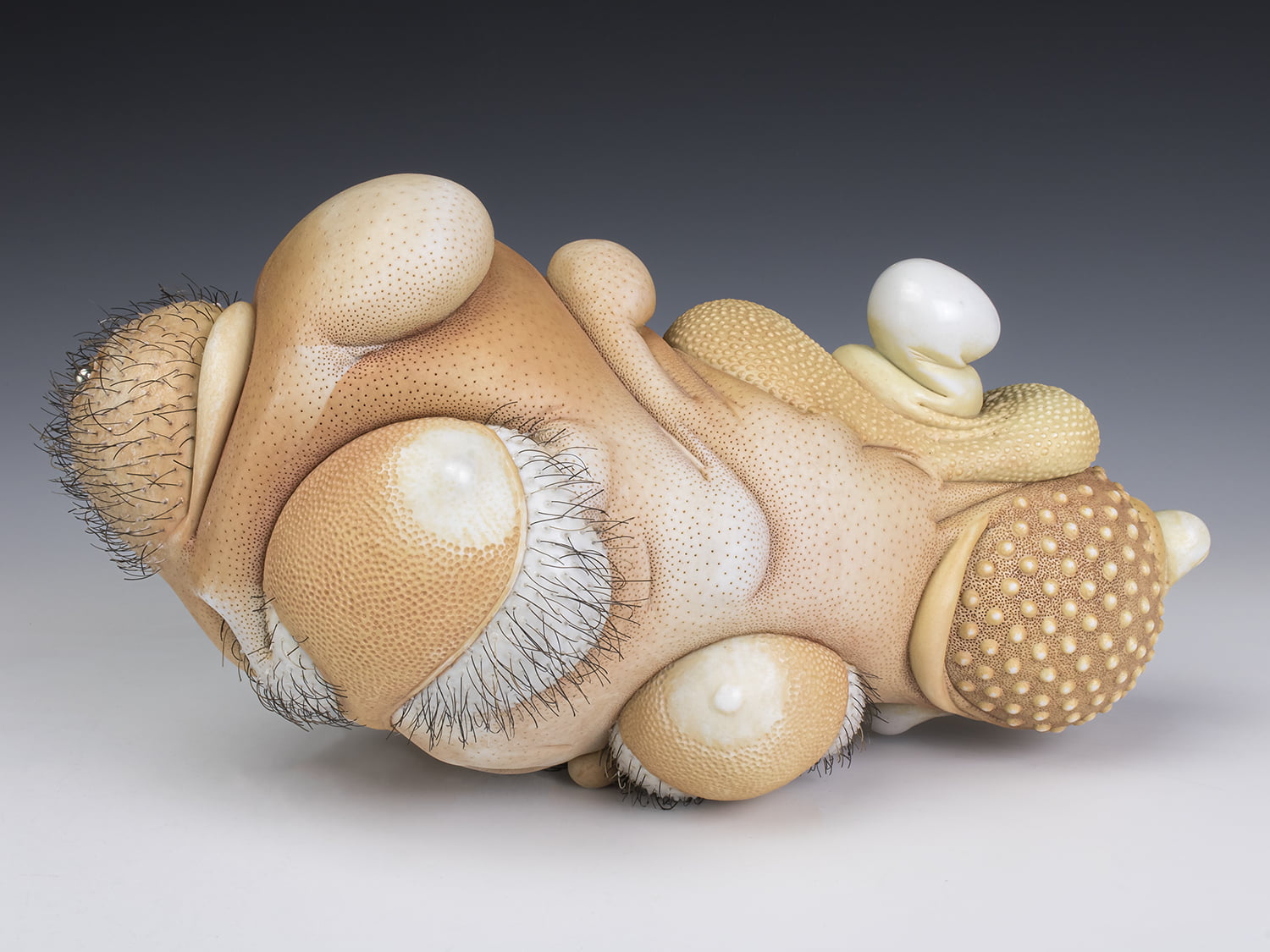 Jason Briggs "Monty" (alternate view). porcelain, hair, and mixed media sculpture ceramics.