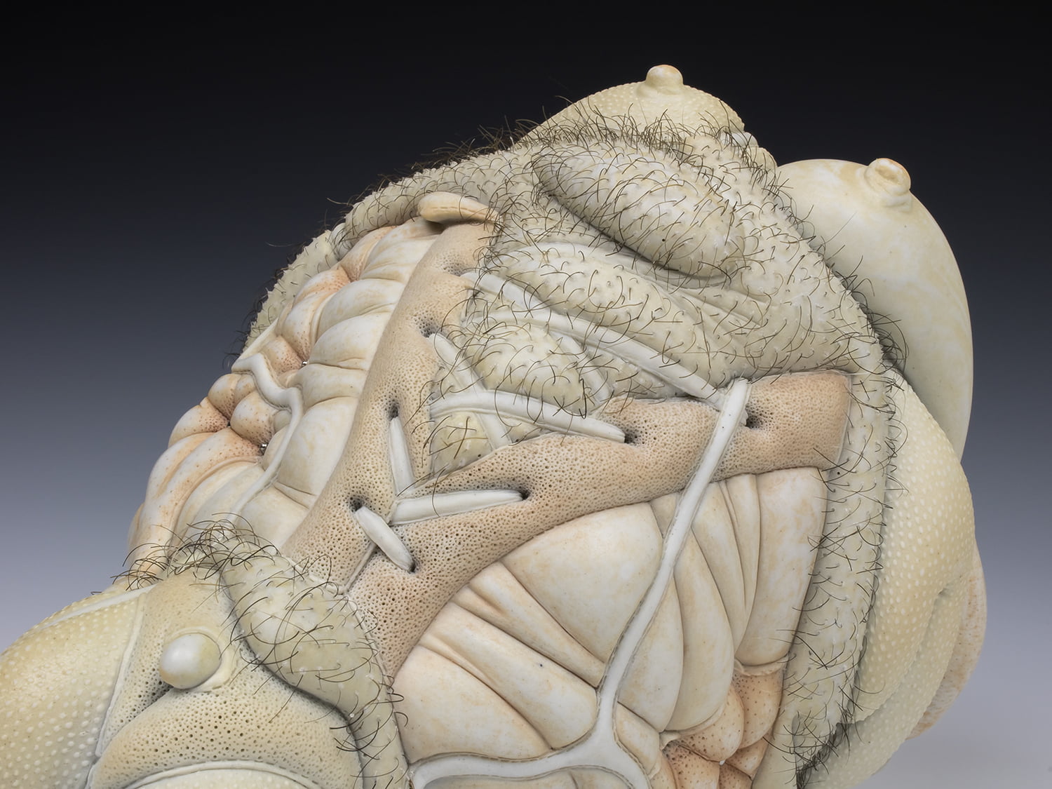 Jason Briggs "Paris" (detail 1). porcelain, hair, and mixed media sculpture ceramics.