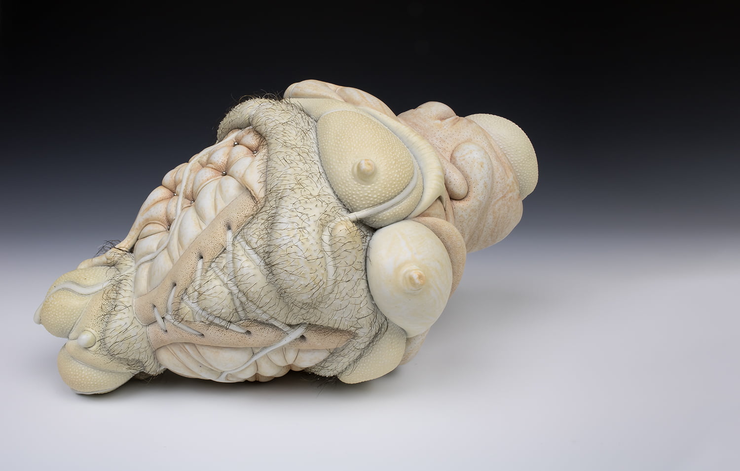 Jason Briggs "Paris". porcelain, hair, and mixed media sculpture ceramics.