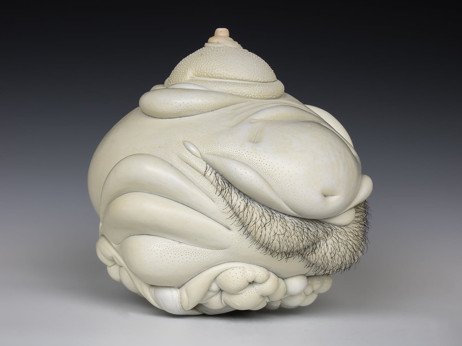 Jason Briggs "Royal" (alternate view 3). porcelain and mixed media sculpture ceramics.