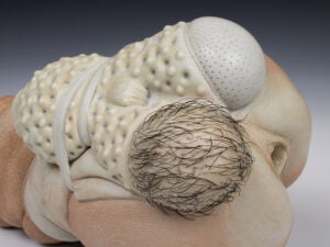 Jason Briggs "Strut" (detail 1). porcelain, hair, and mixed media sculpture ceramics.