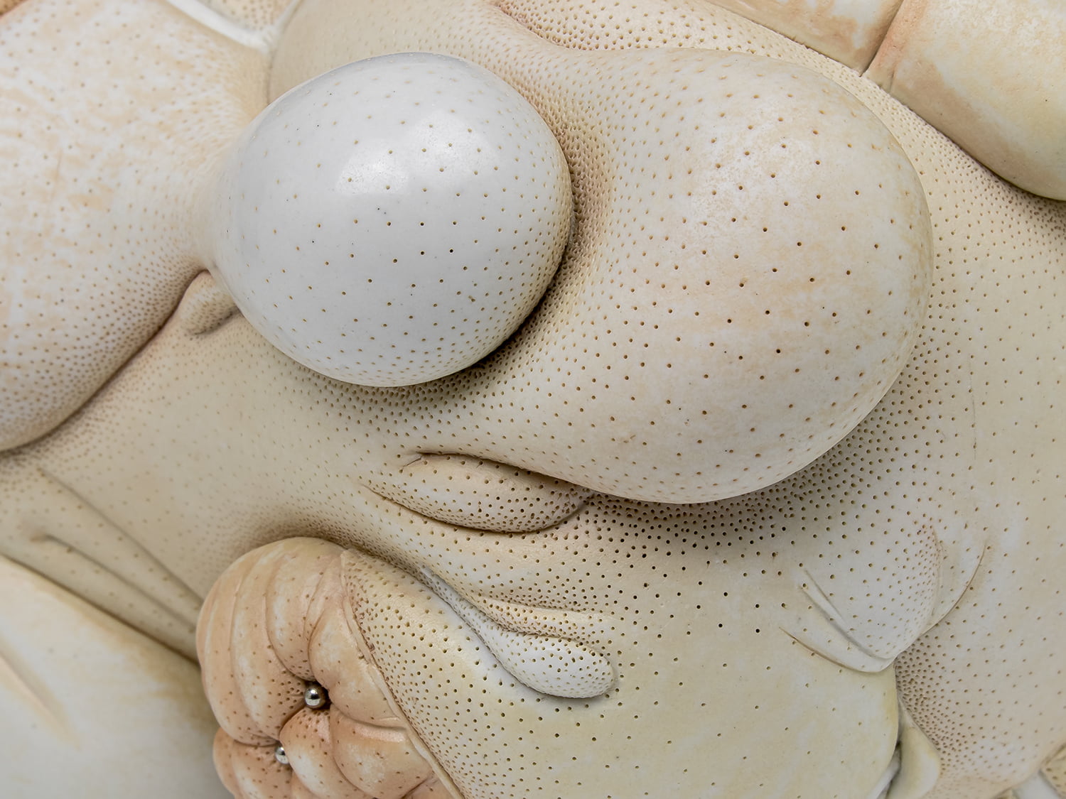 Jason Briggs "Suave" (detail 6). porcelain, hair, and mixed media sculpture ceramics.