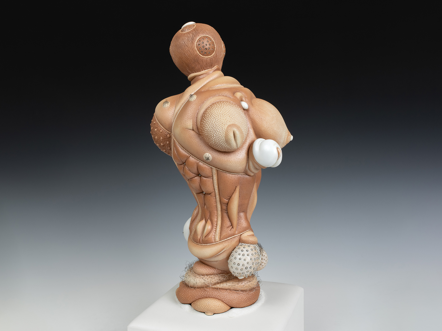 Jason Briggs "Olympus Mons"