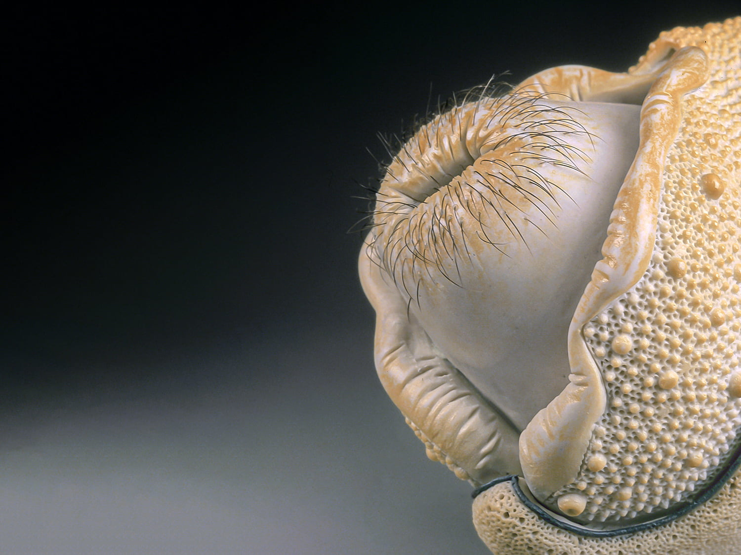Jason Briggs "Tootsie". Porcelain, hair, and mixed media. Sculptural ceramic art object.